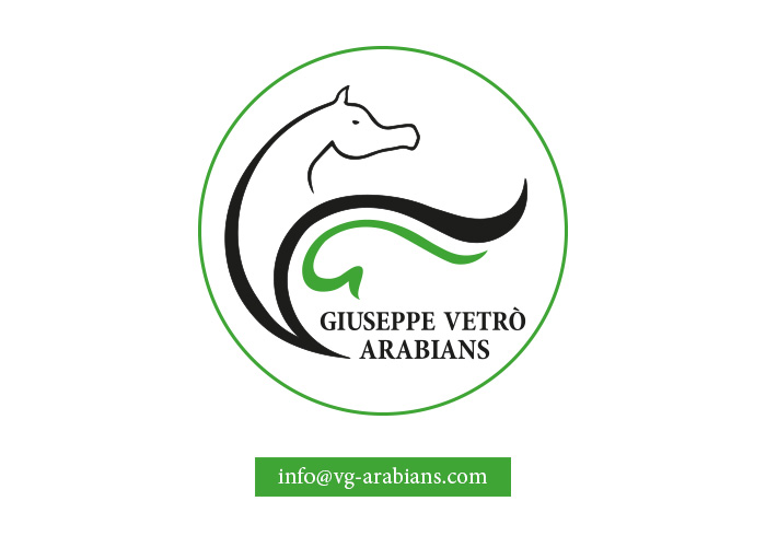 VG ARABIANS